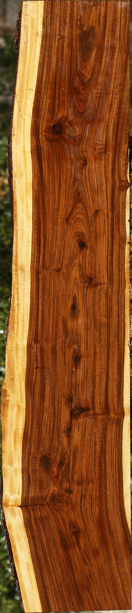 Tamboti Live Edge Lumber