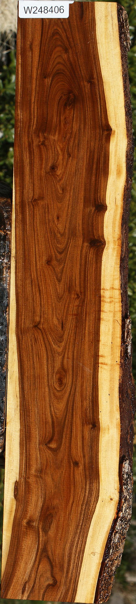 Tamboti Live Edge Lumber