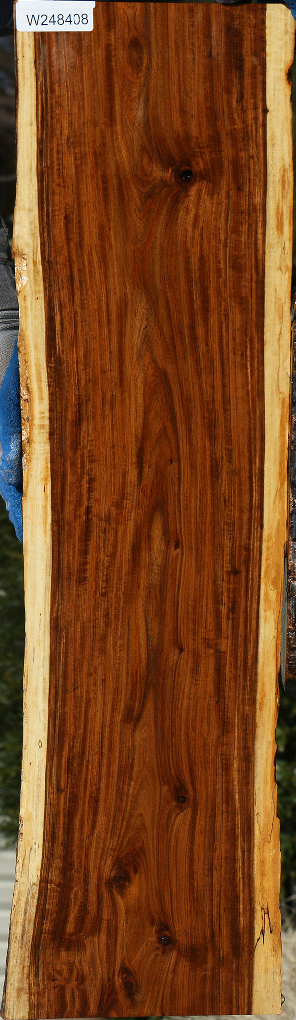 Figured Tamboti Live Edge Lumber