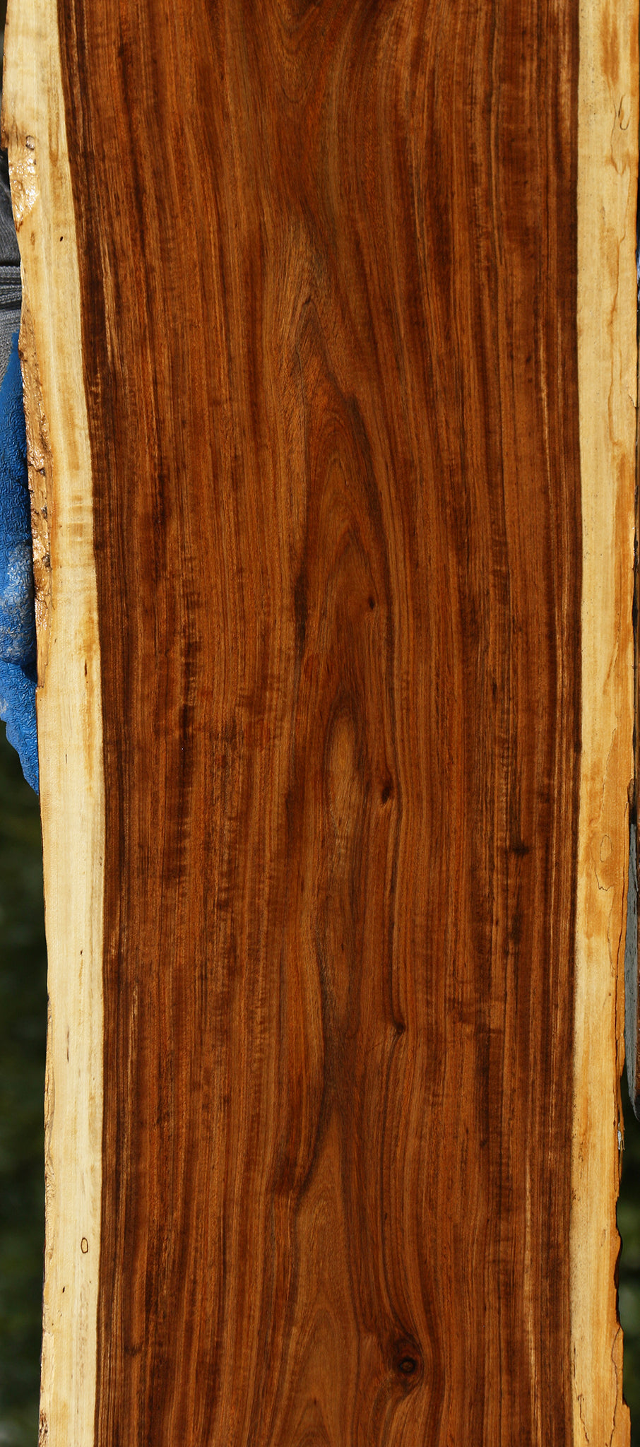 Figured Tamboti Live Edge Lumber