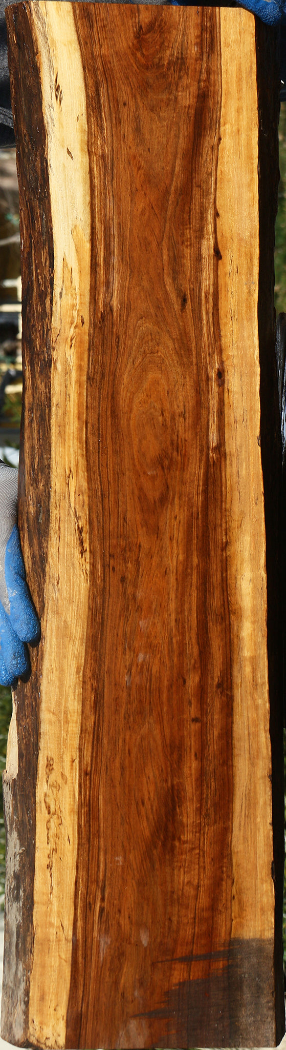 Figured Tamboti Live Edge Lumber