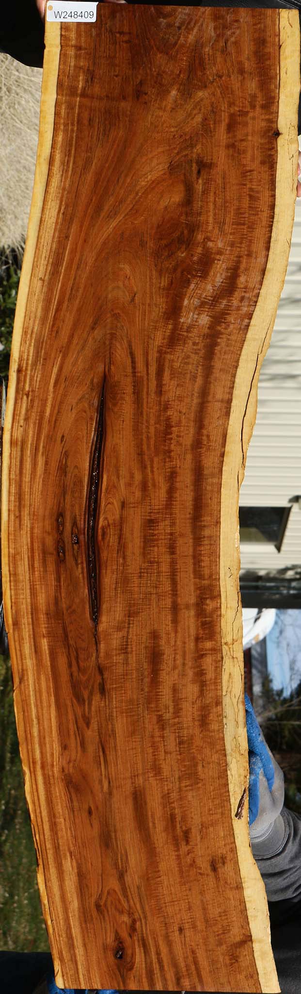 Tamboti Live Edge Lumber