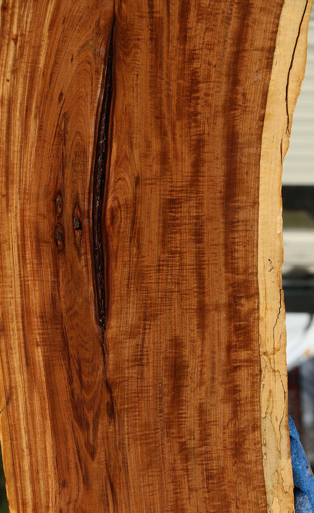Tamboti Live Edge Lumber