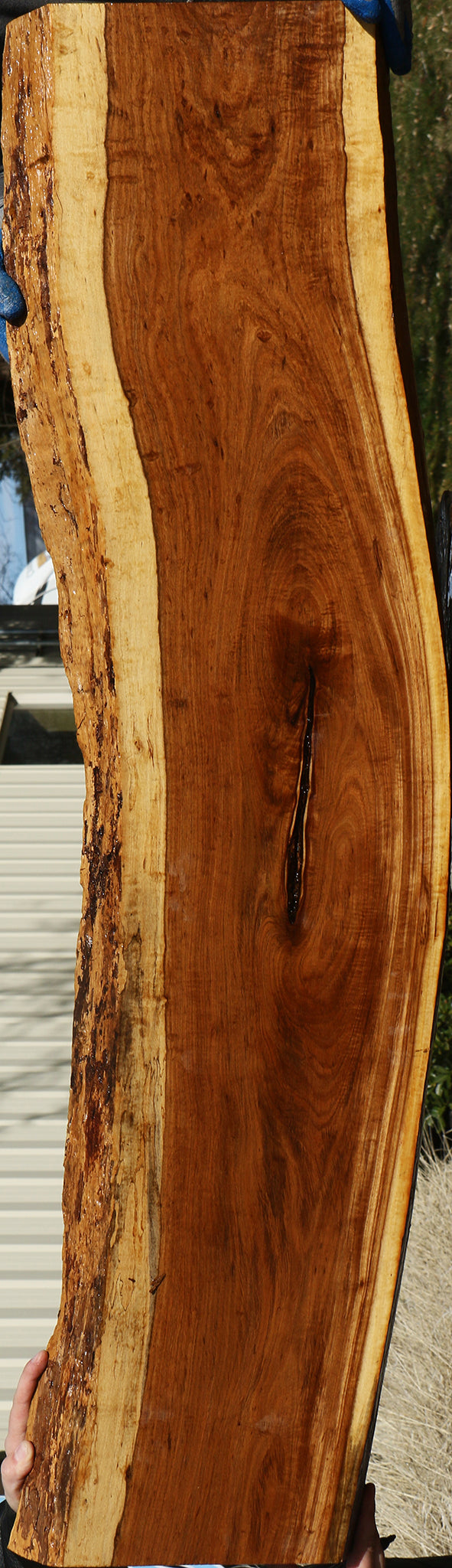 Tamboti Live Edge Lumber