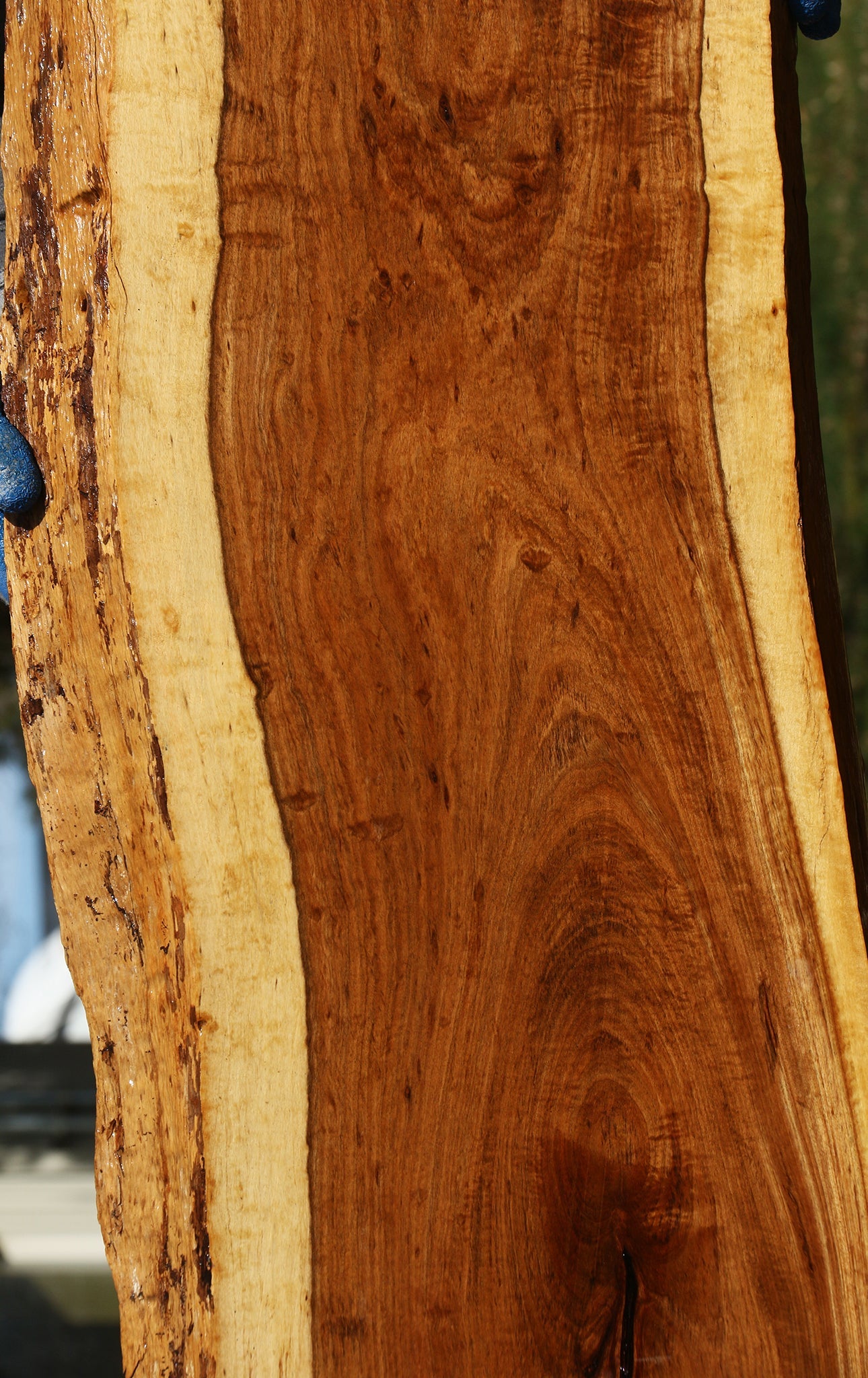Tamboti Live Edge Lumber