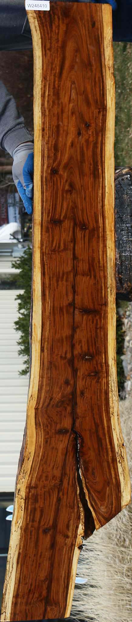 Figured Tamboti Live Edge Lumber