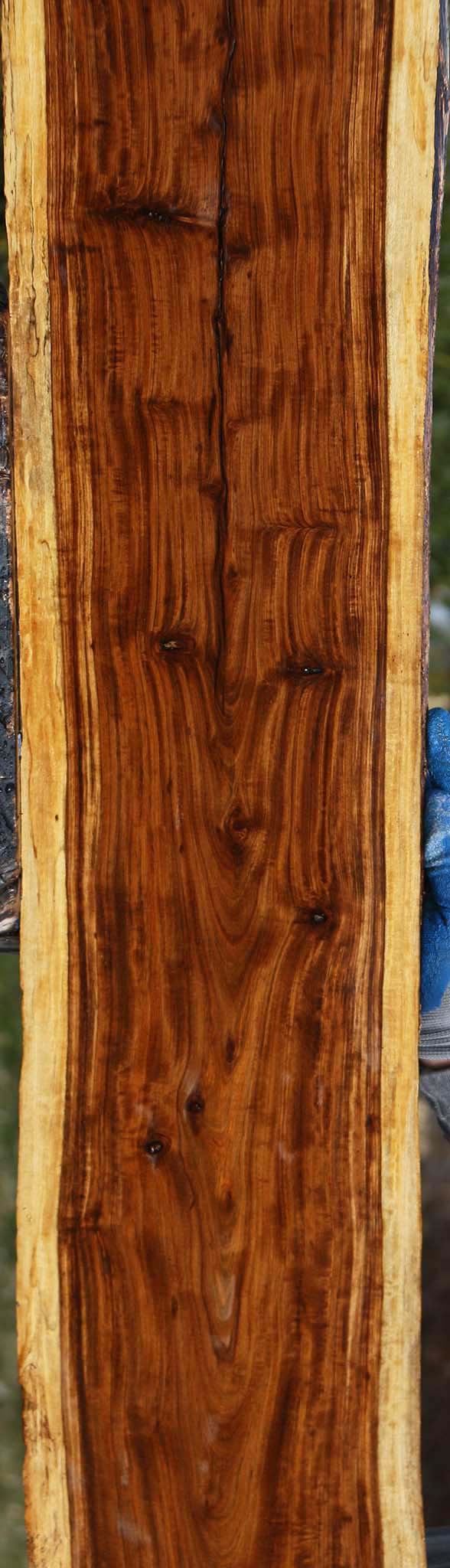 Figured Tamboti Live Edge Lumber