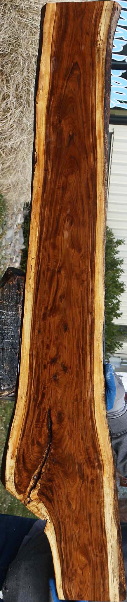 Figured Tamboti Live Edge Lumber