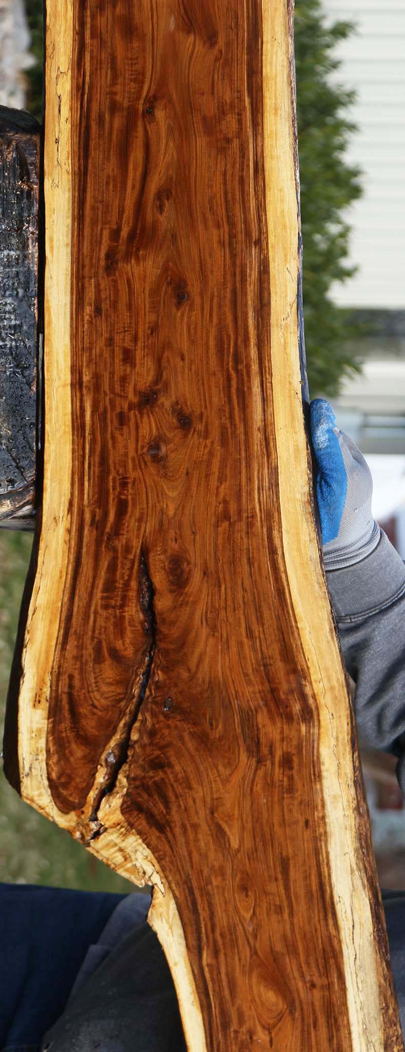 Figured Tamboti Live Edge Lumber