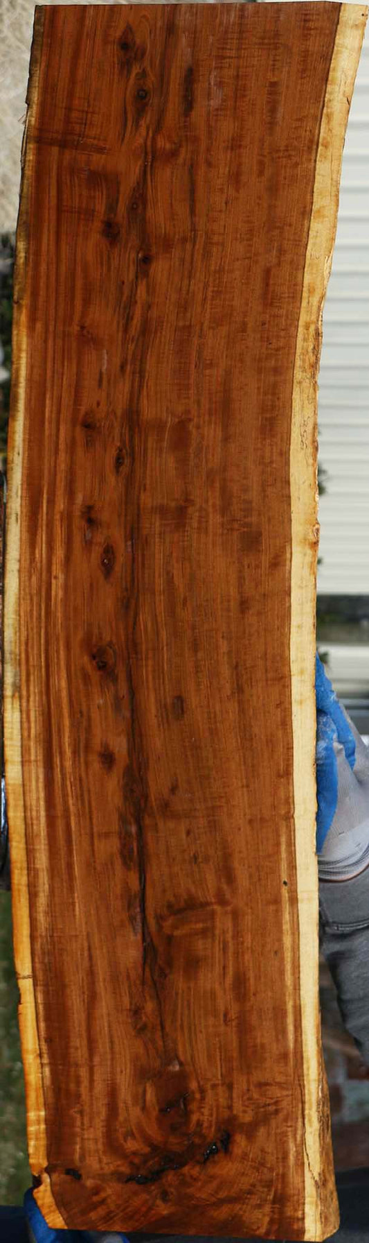 Extra Fancy Tamboti Live Edge Lumber