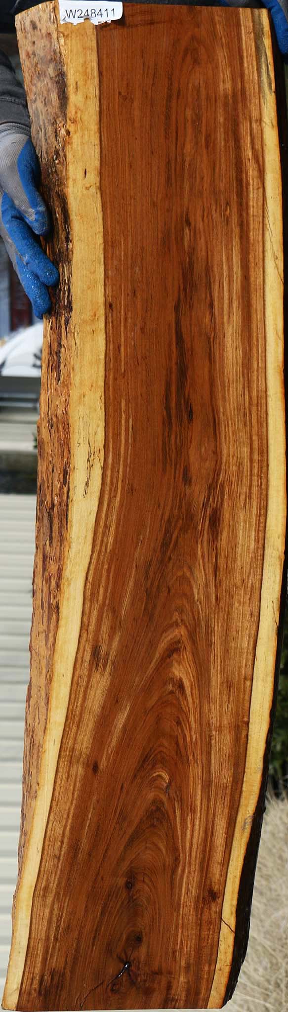 Extra Fancy Tamboti Live Edge Lumber
