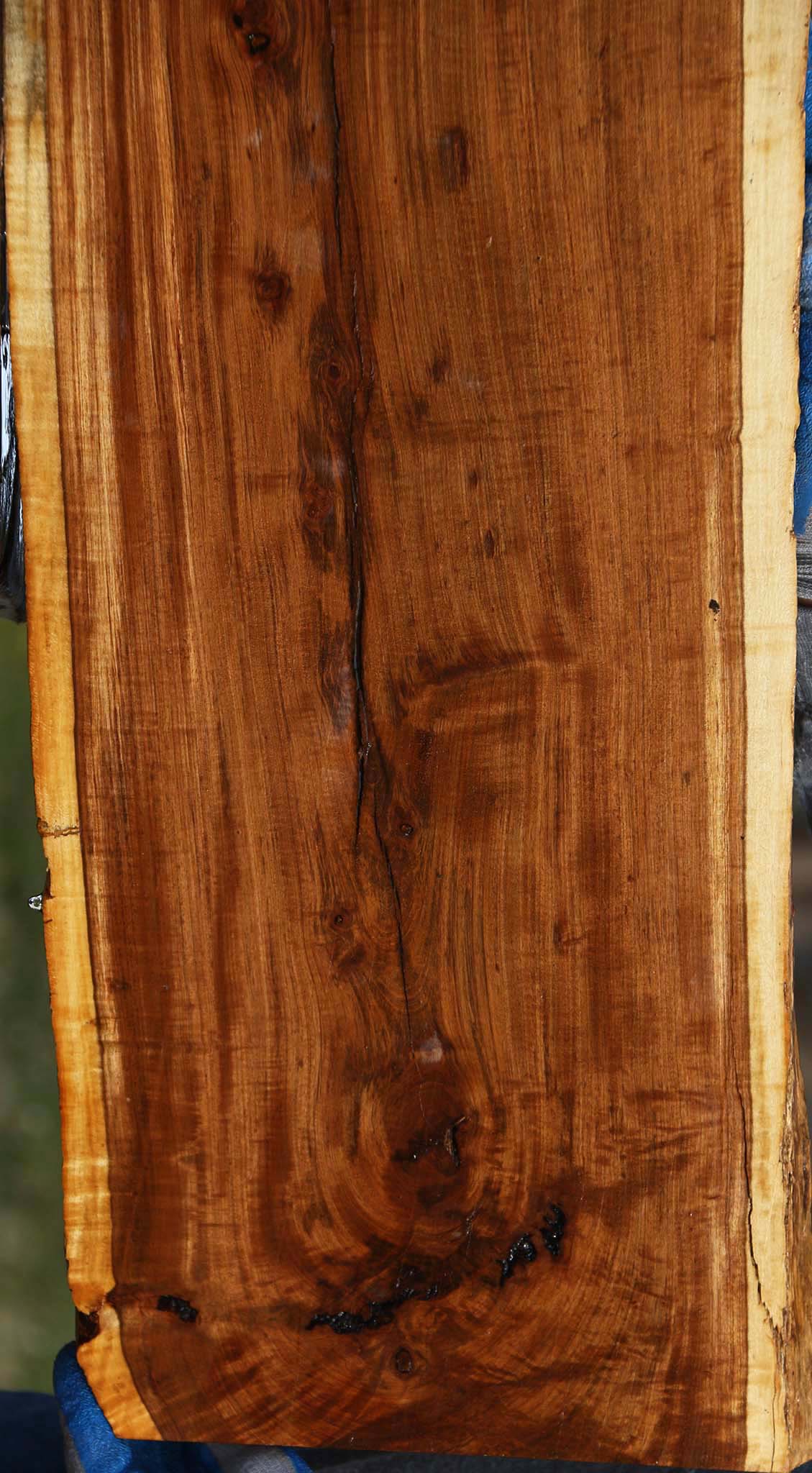 Extra Fancy Tamboti Live Edge Lumber