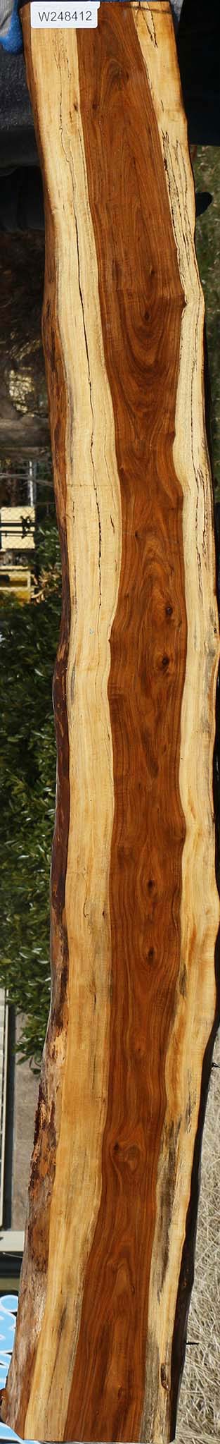 Extra Fancy Tamboti Live Edge Lumber