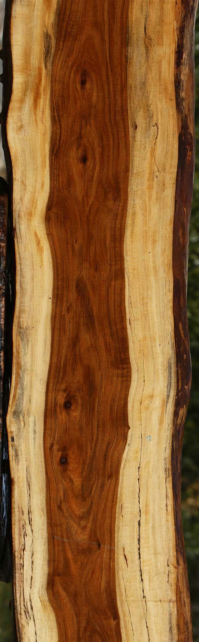 Extra Fancy Tamboti Live Edge Lumber