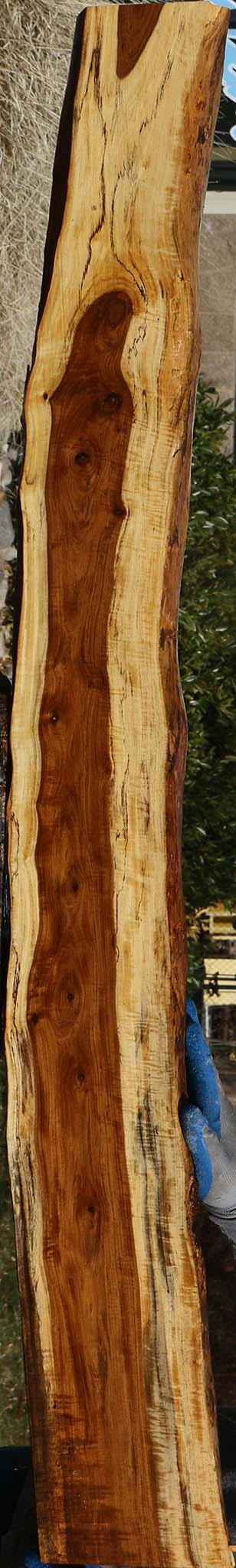 Extra Fancy Tamboti Live Edge Lumber
