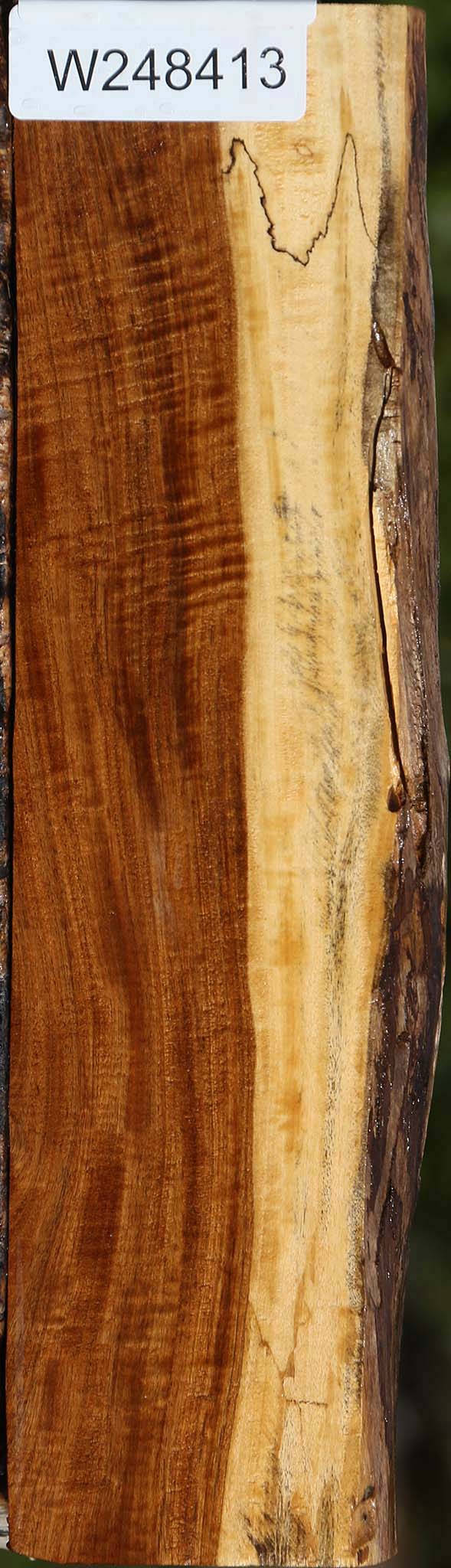 Extra Fancy Tamboti Live Edge Lumber