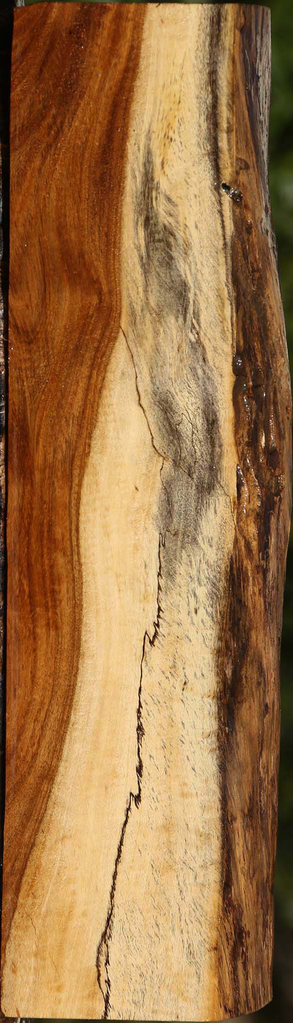 Extra Fancy Tamboti Live Edge Lumber
