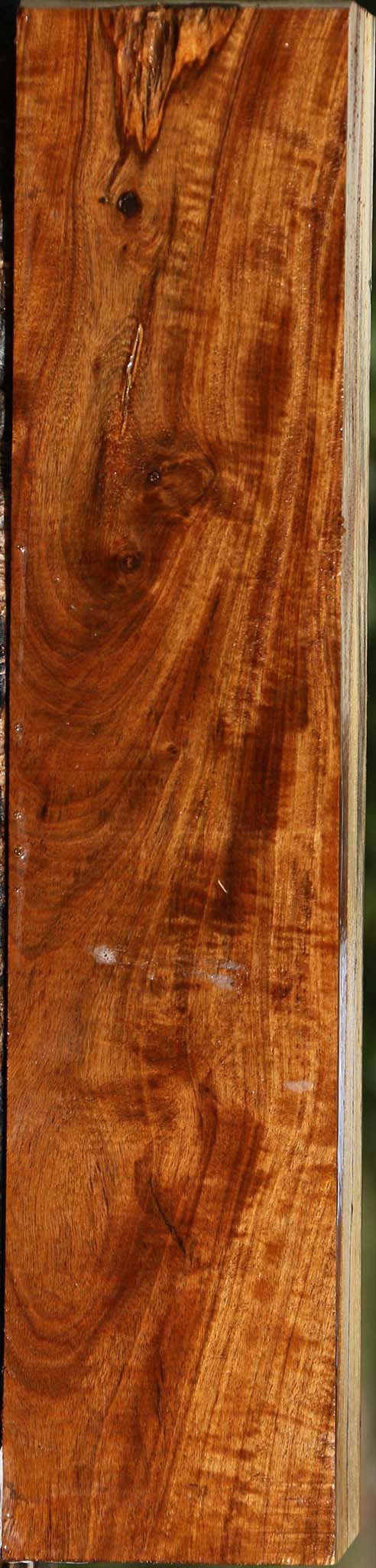 Extra Fancy Tamboti Live Edge Lumber