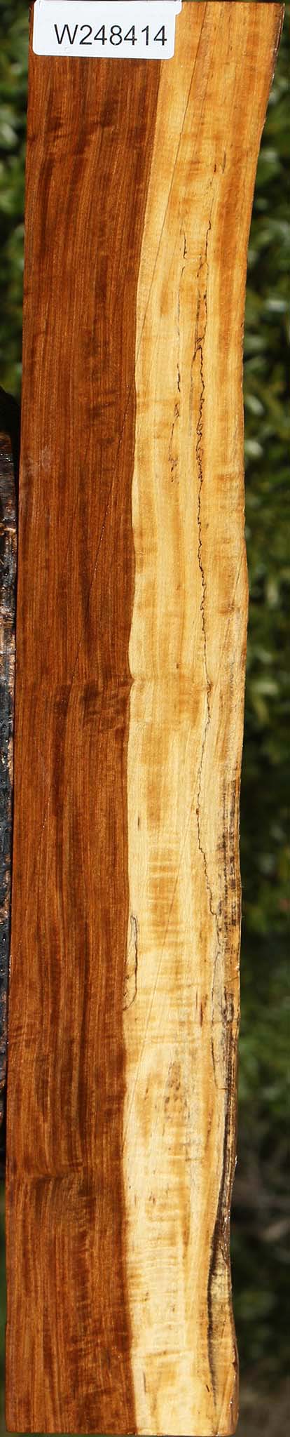 Extra Fancy Tamboti Live Edge Lumber
