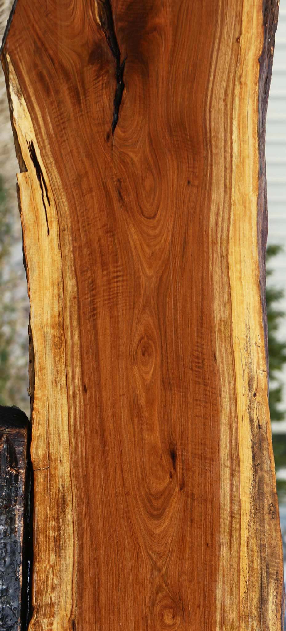Tamboti Live Edge Lumber