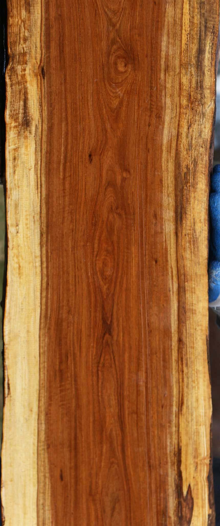 Tamboti Live Edge Lumber