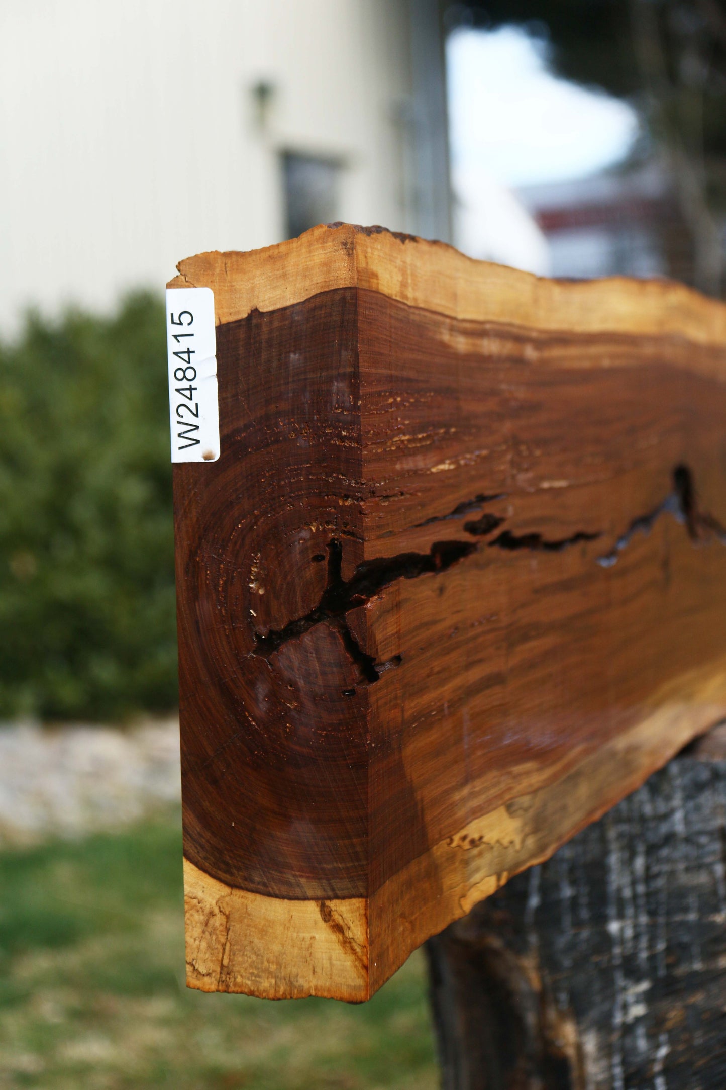 Tamboti Live Edge Lumber