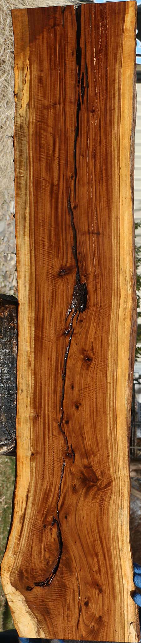 Tamboti Live Edge Lumber