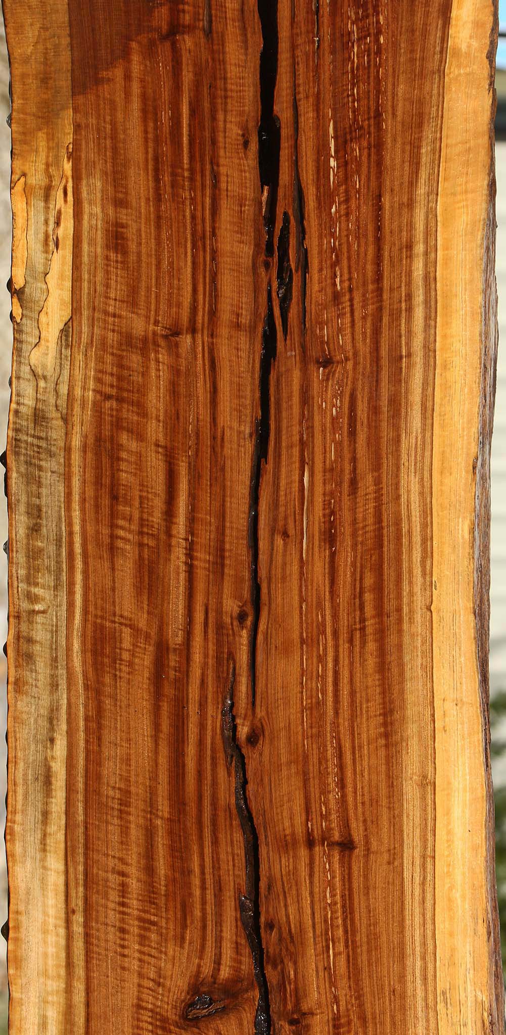 Tamboti Live Edge Lumber