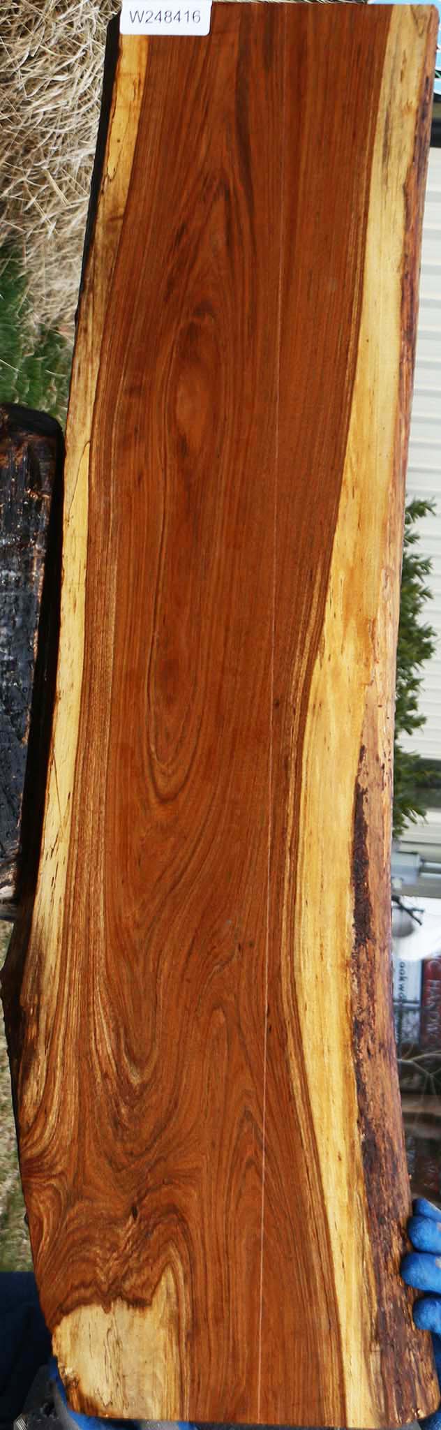 Figured Tamboti Live Edge Lumber