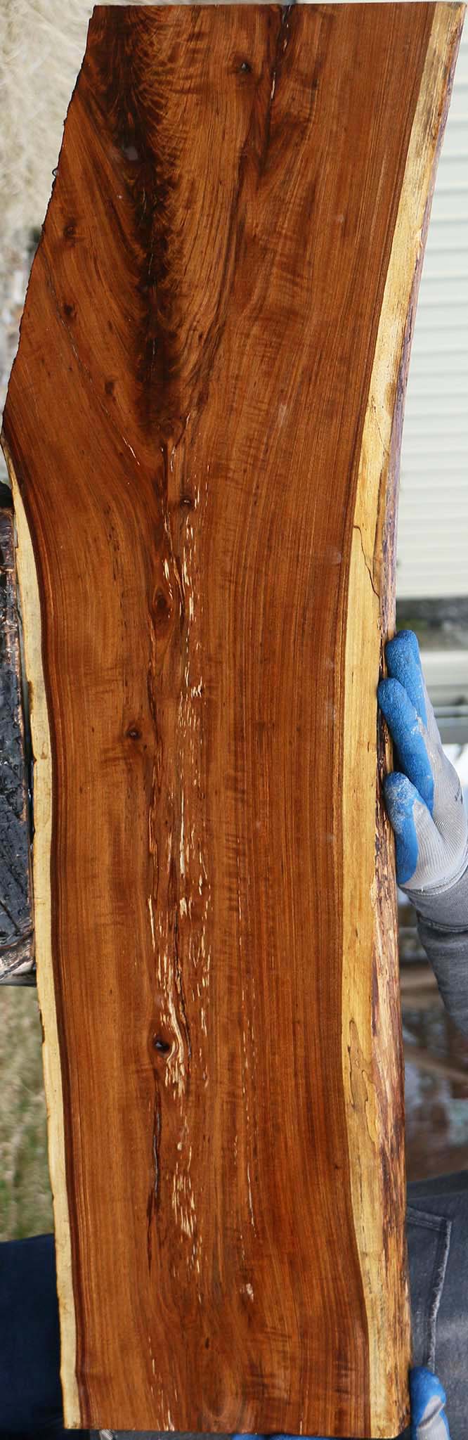 Figured Tamboti Live Edge Lumber