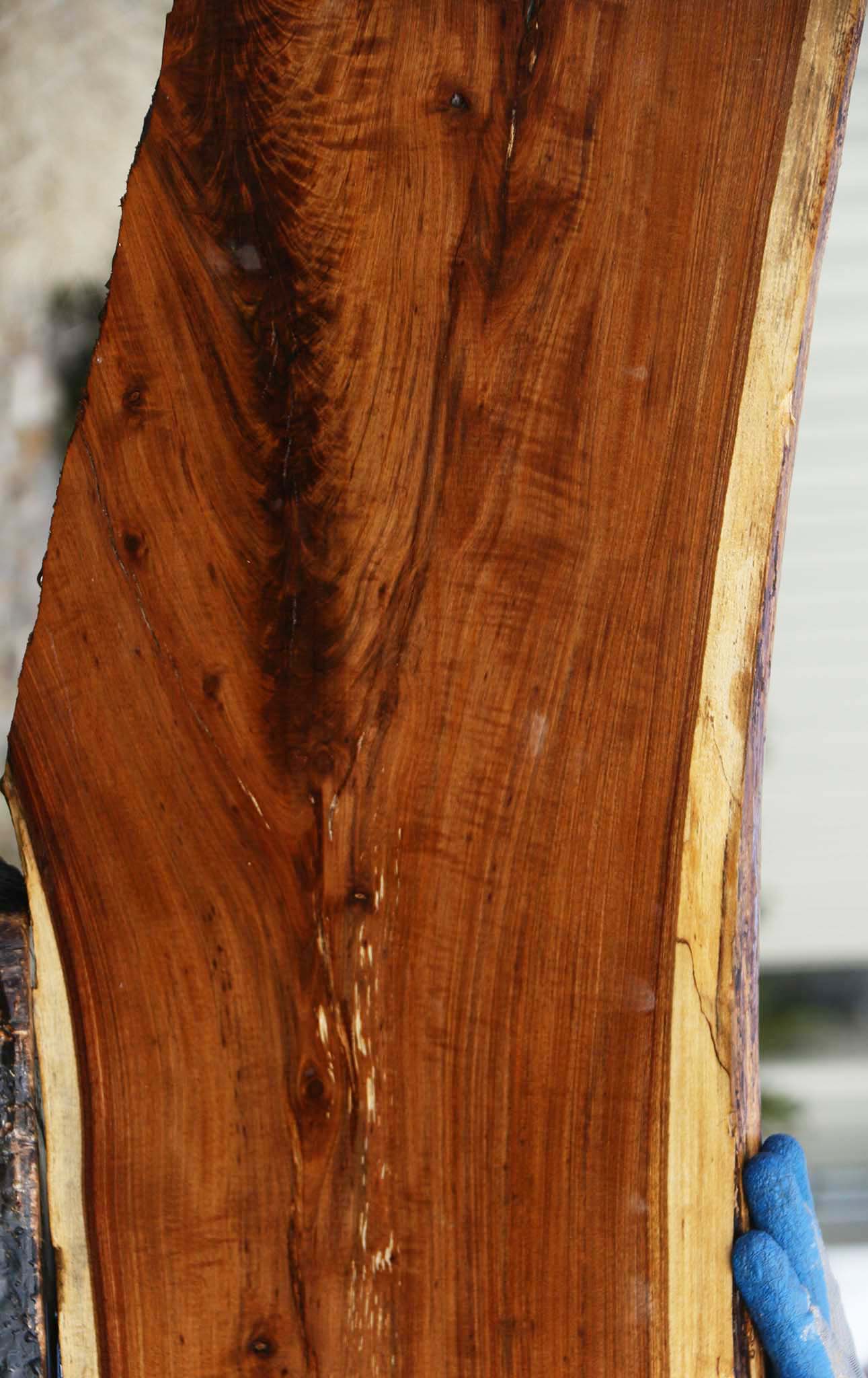 Figured Tamboti Live Edge Lumber