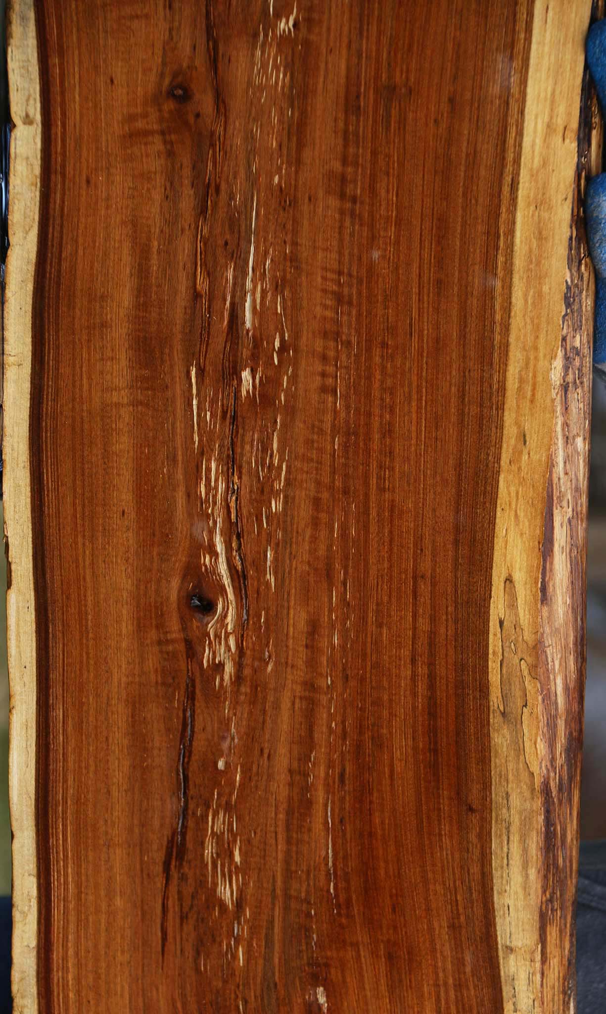 Figured Tamboti Live Edge Lumber