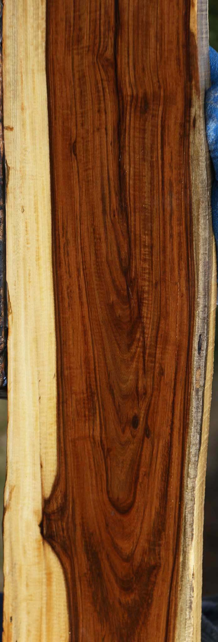 Rustic Tamboti Live Edge Lumber