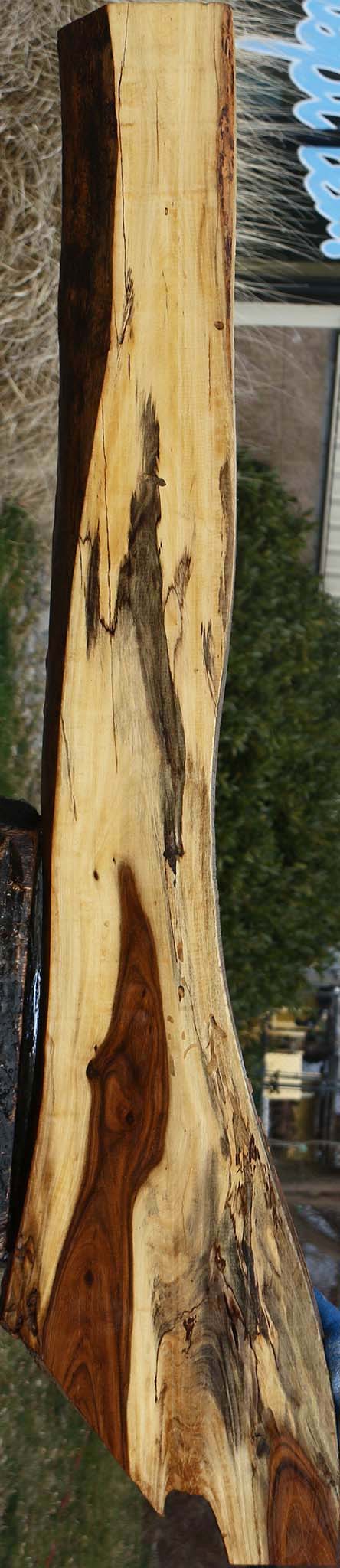 Rustic Tamboti Live Edge Lumber
