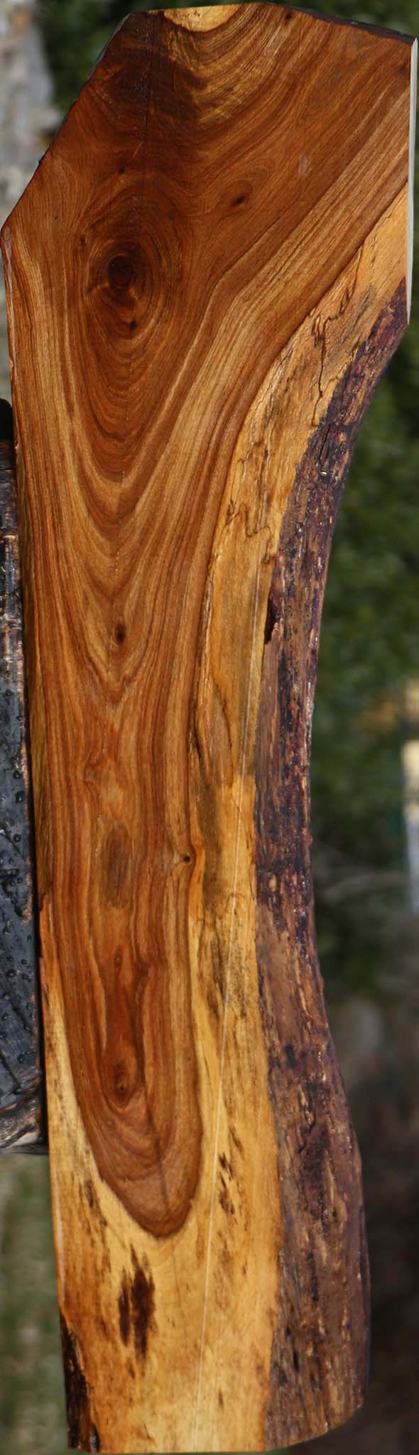 Tamboti Live Edge Lumber