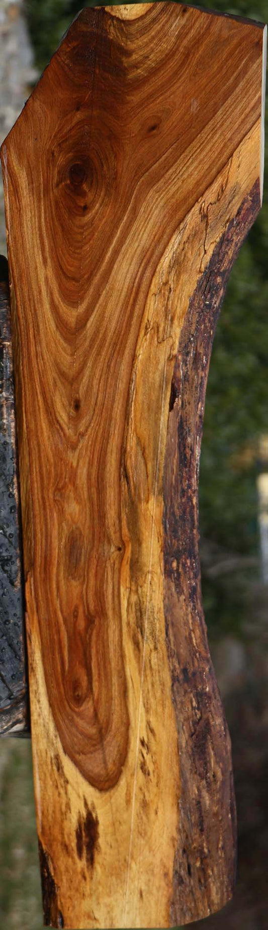 Tamboti Live Edge Lumber