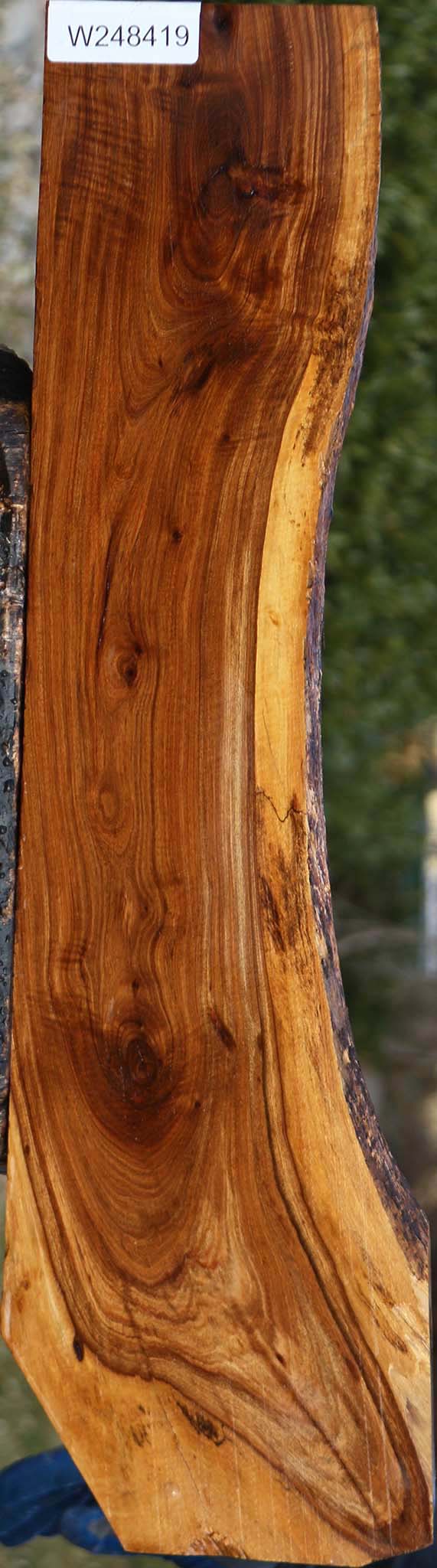 Tamboti Live Edge Lumber