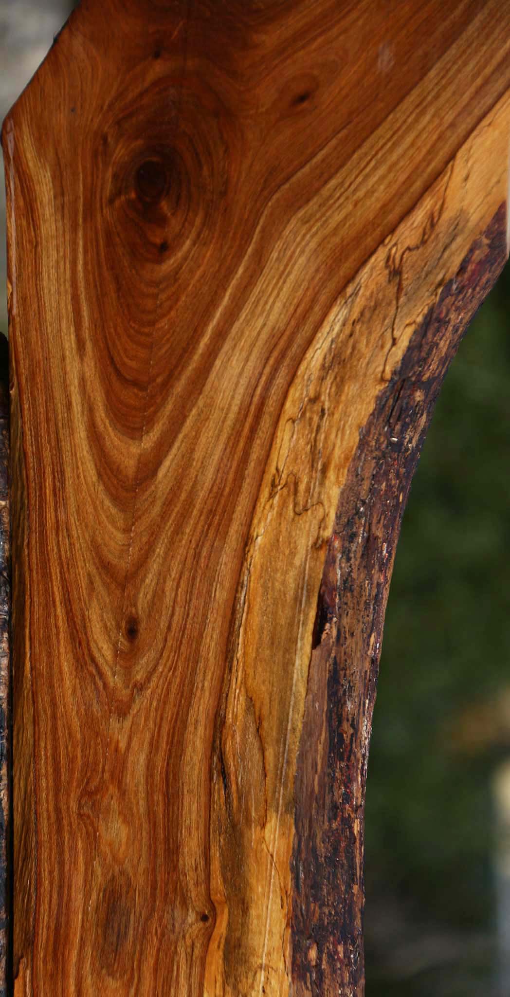 Tamboti Live Edge Lumber