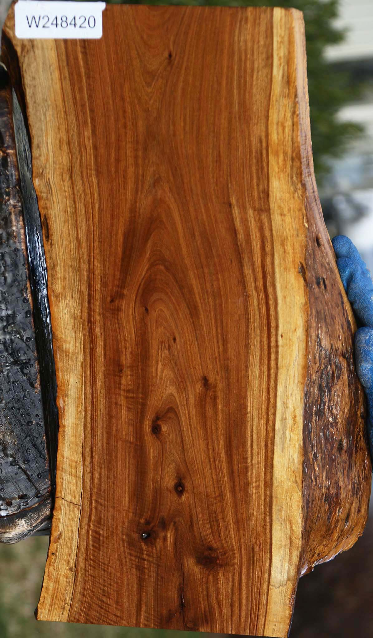 Figured Rustic Tamboti Live Edge Lumber