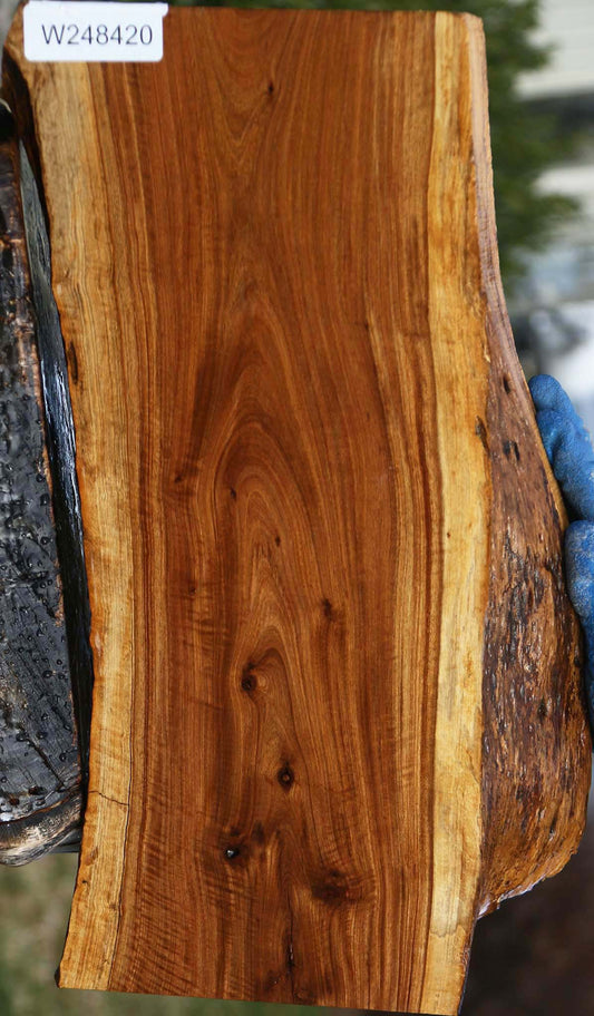 Figured Rustic Tamboti Live Edge Lumber