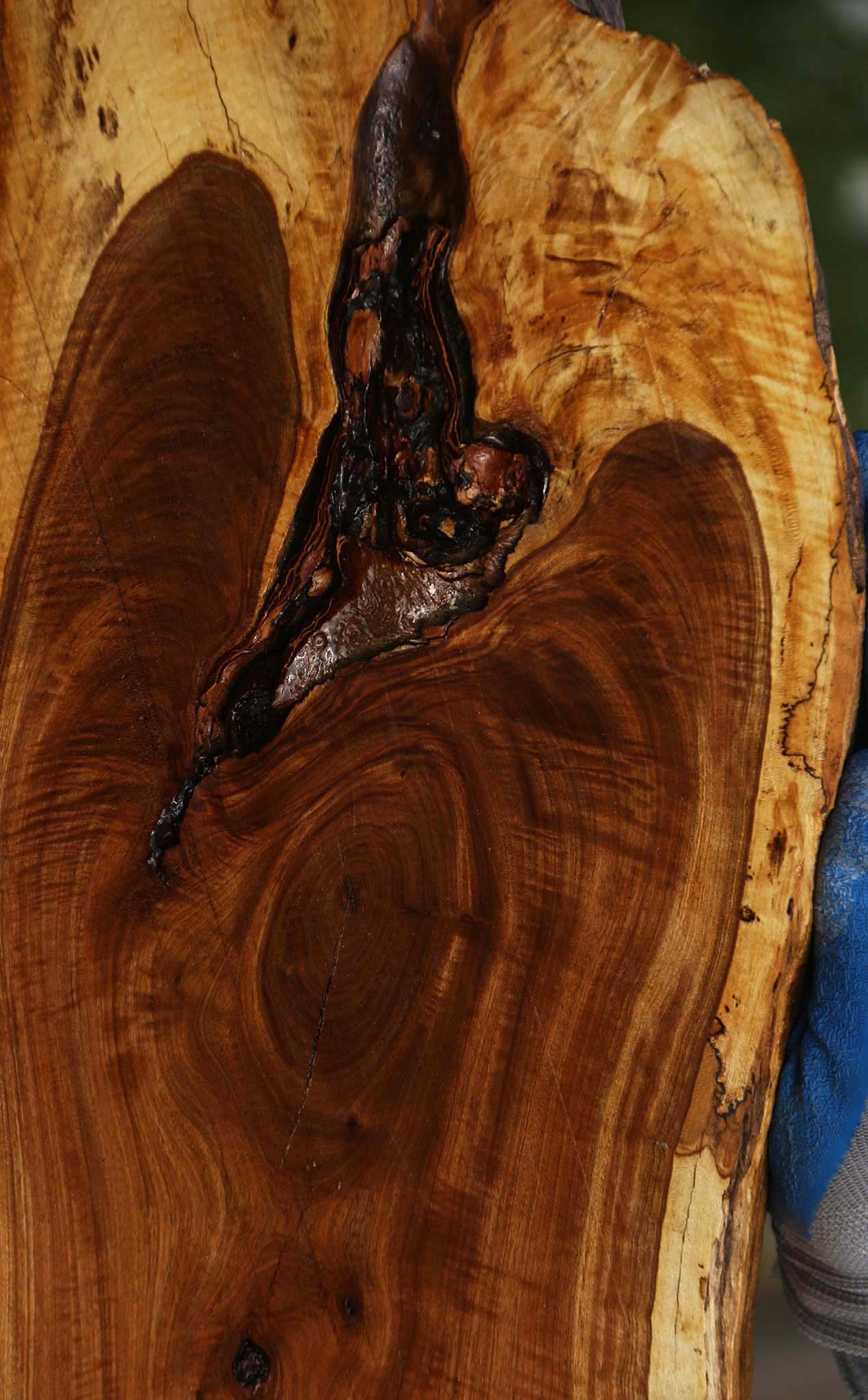 Figured Rustic Tamboti Live Edge Lumber