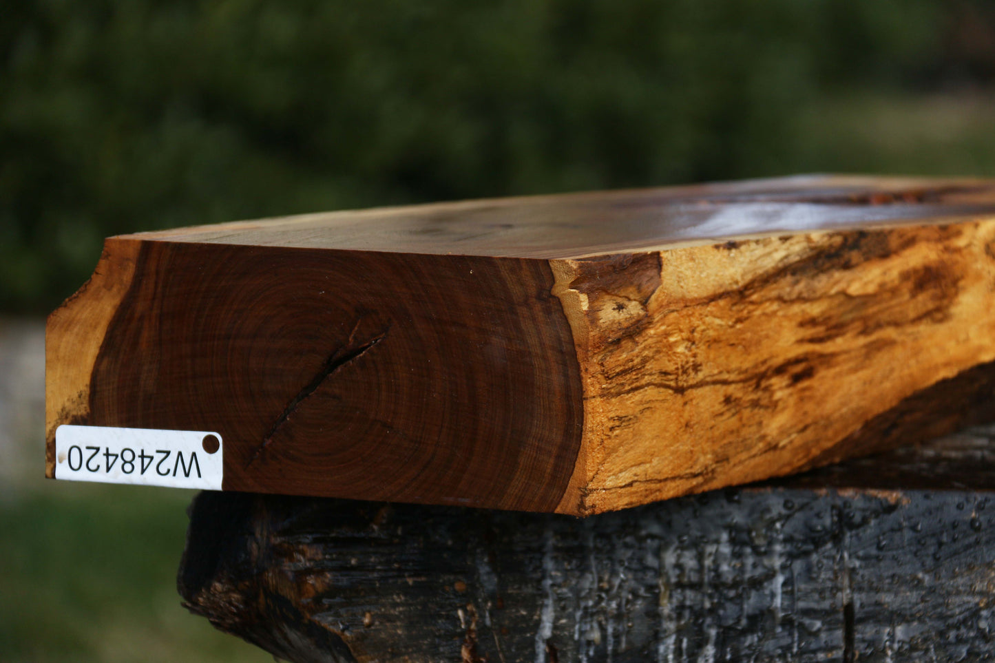 Figured Rustic Tamboti Live Edge Lumber