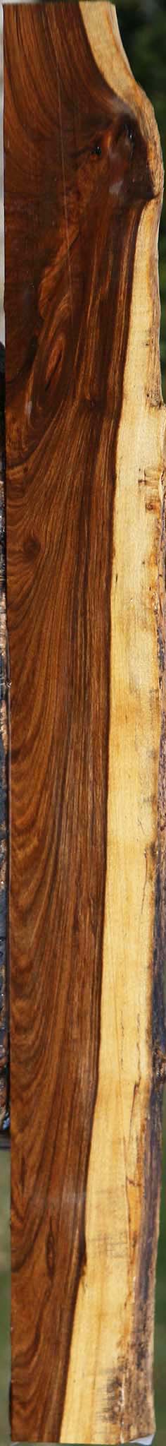 Tamboti Live Edge Lumber