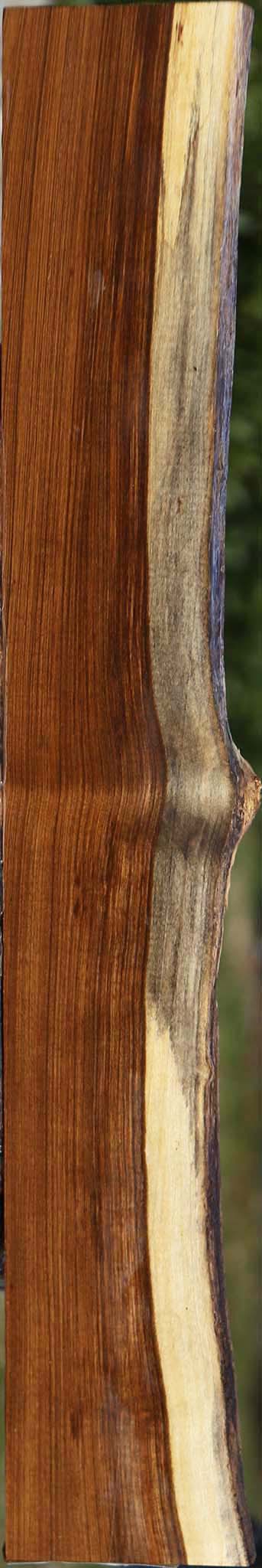 Quartersawn Tamboti Live Edge Lumber