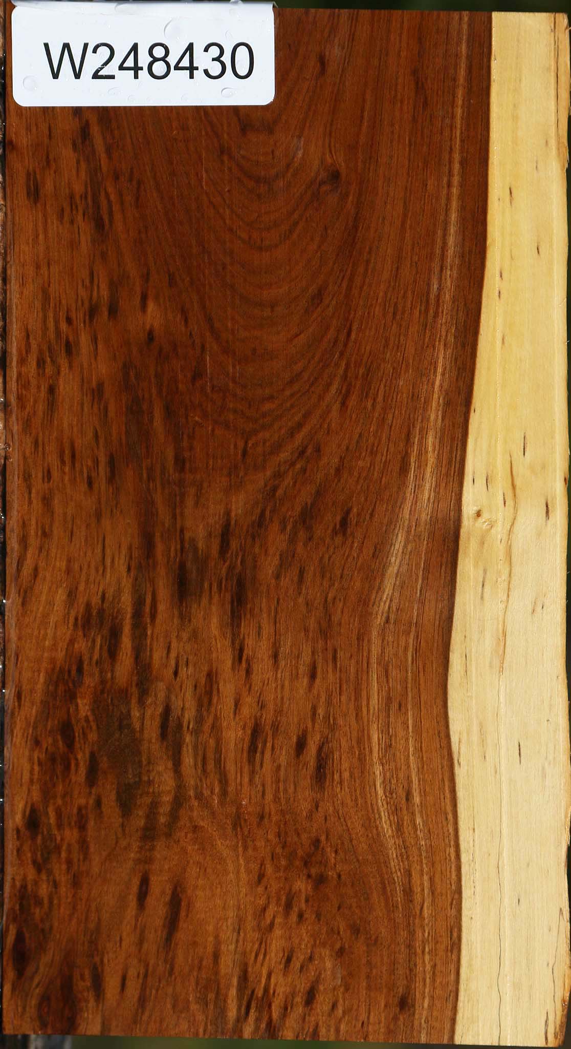 Tamboti Live Edge Lumber