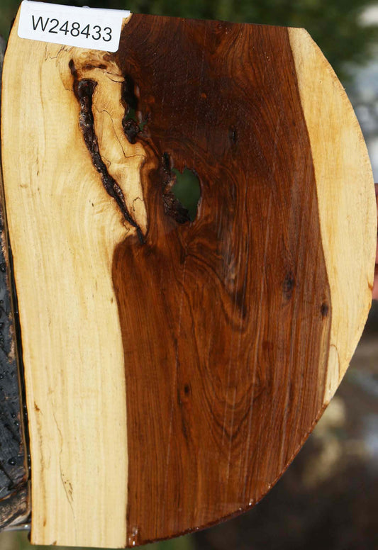 Rustic Tamboti Live Edge Lumber