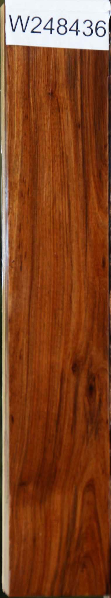 Tamboti Lumber