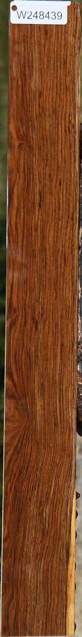 Tamboti Lumber