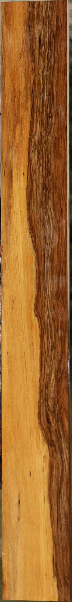 Tamboti Lumber