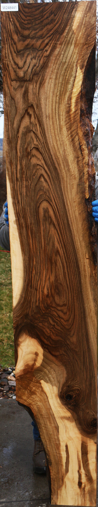 English Walnut Slab